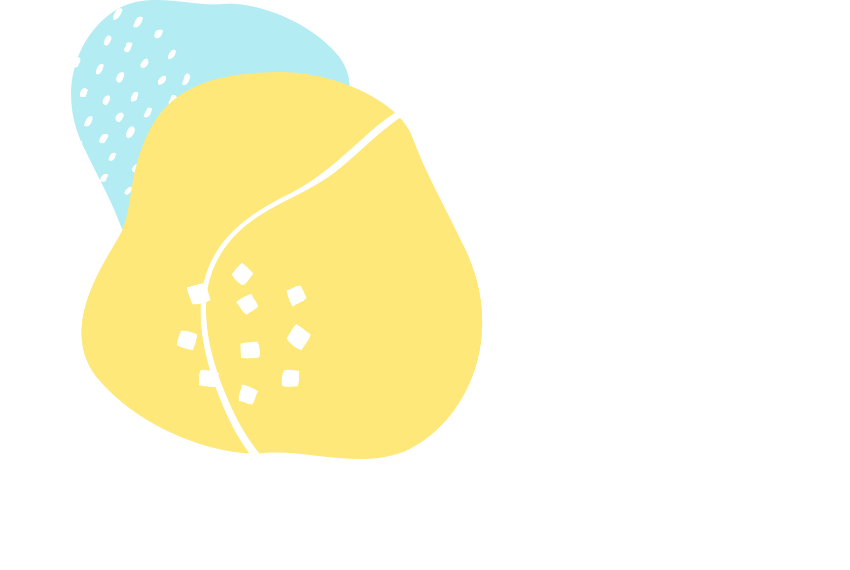 FV